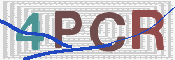 CAPTCHA Kép