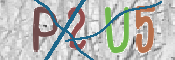 CAPTCHA Kép